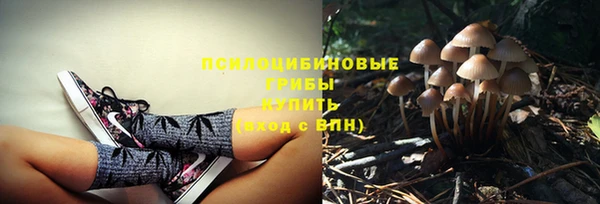 марки lsd Балабаново
